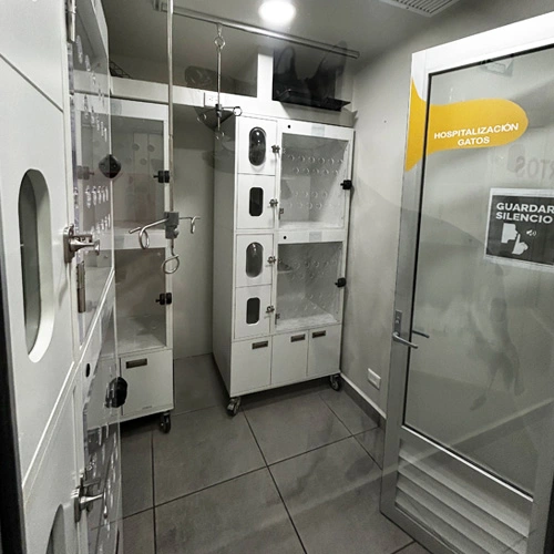 Hospitalización veterinaria en Lomont