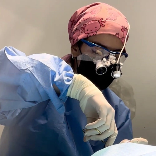 Oftalmología veterinaria en Lomont