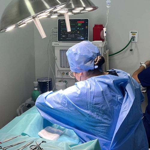 Oncología veterinaria en Lomont