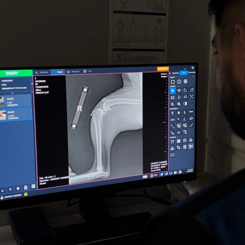 Rayos X veterinarios en Lomont