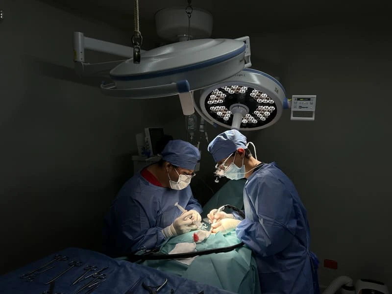 Quirófano de neurocirugía veterinaria de Lomont® con el equipo quirúrgico operando a un paciente neurológico bajo lámparas de cirugía y monitoreo continuo