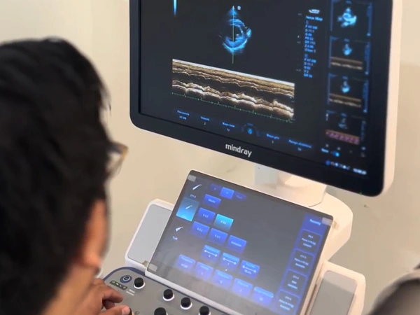 Cardiología veterinaria en Lomont®