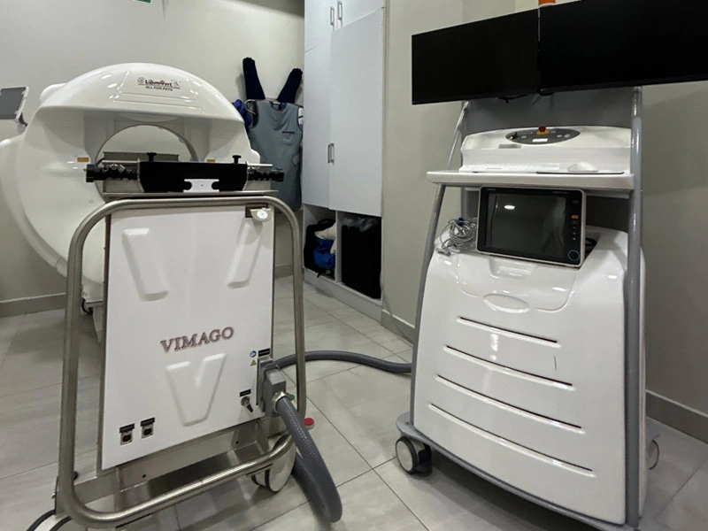 Diagnóstico avanzado con tomografía y laboratorio clínico para mascotas en Lomont®