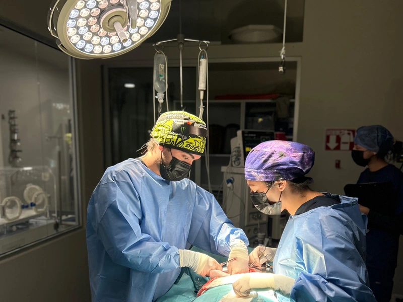 Especialistas veterinarios certificados atendiendo mascotas en Lomont® Monterrey