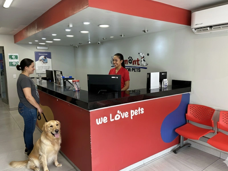 Hospital veterinario de alta especialidad Lomont® — instalaciones modernas y equipadas