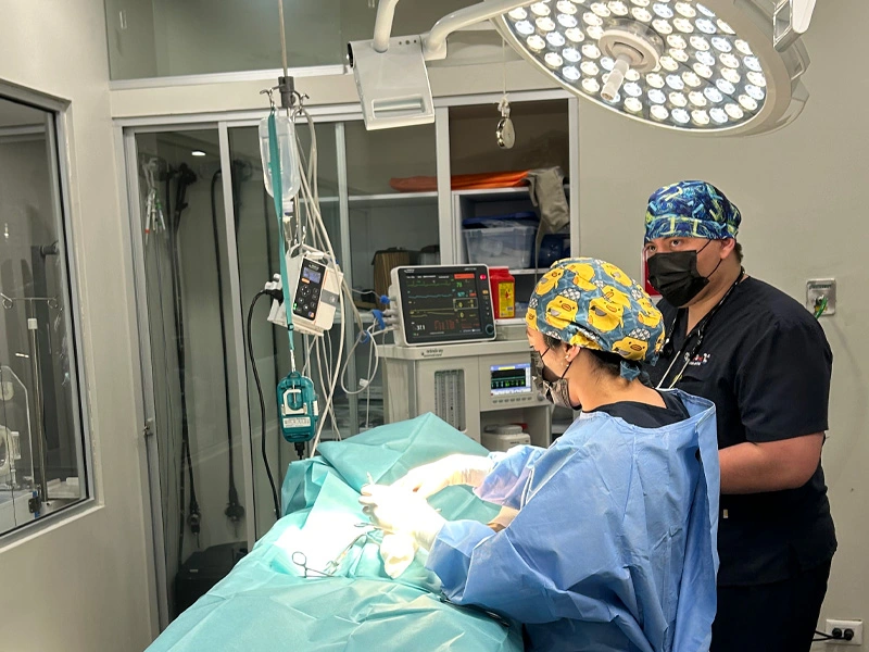 Equipo médico de especialistas veterinarios Lomont