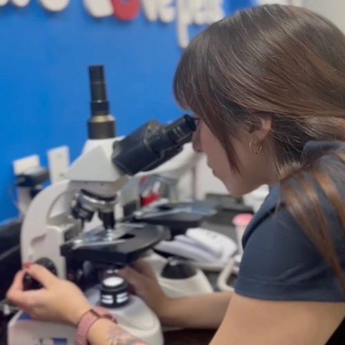 Dermatología veterinaria Lomont