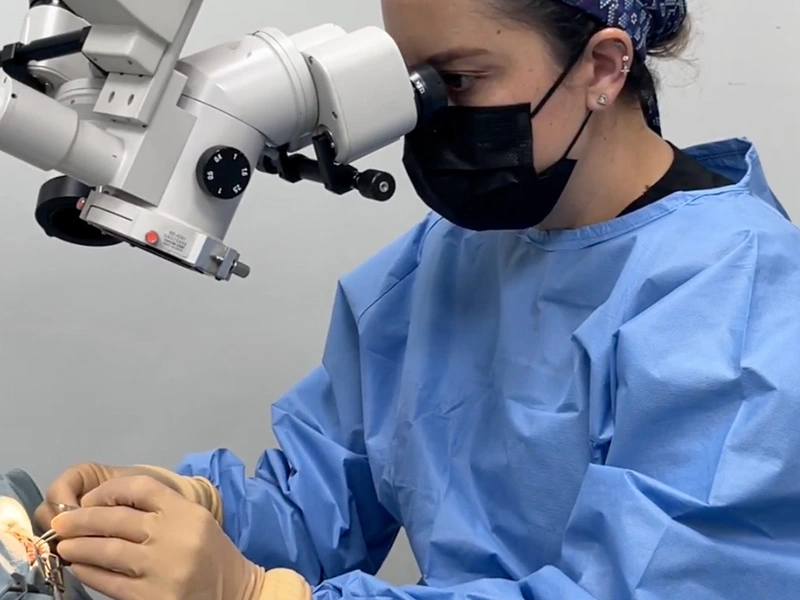 Hospital veterinario de alta especialidad Lomont