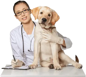 Honestidad — valor Lomont