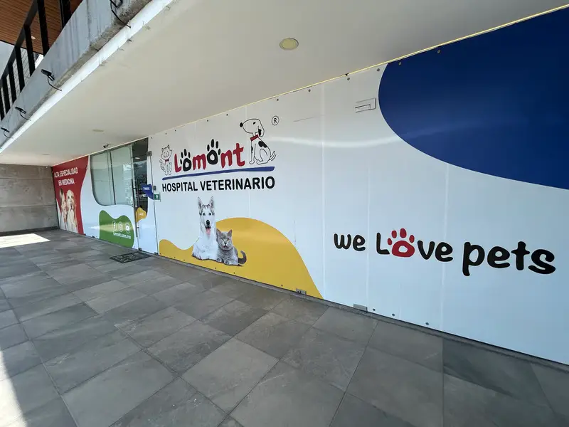 Fachada del Hospital Veterinario Lomont® Cumbres sobre Av. Paseo de los Leones en Monterrey, con acceso techado y señalización de alta especialidad en medicina