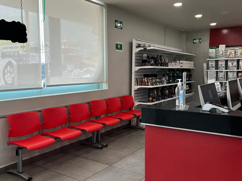 Recepción y sala de espera del Hospital Veterinario Lomont® Cumbres, con mostrador de atención y exhibidor de alimentos y accesorios para mascotas