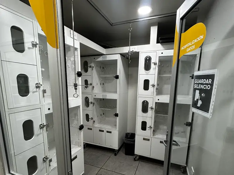 Área de hospitalización felina del Hospital Veterinario Lomont® Cumbres, con jaulas individuales de acero inoxidable y zona de silencio para la recuperación de los pacientes