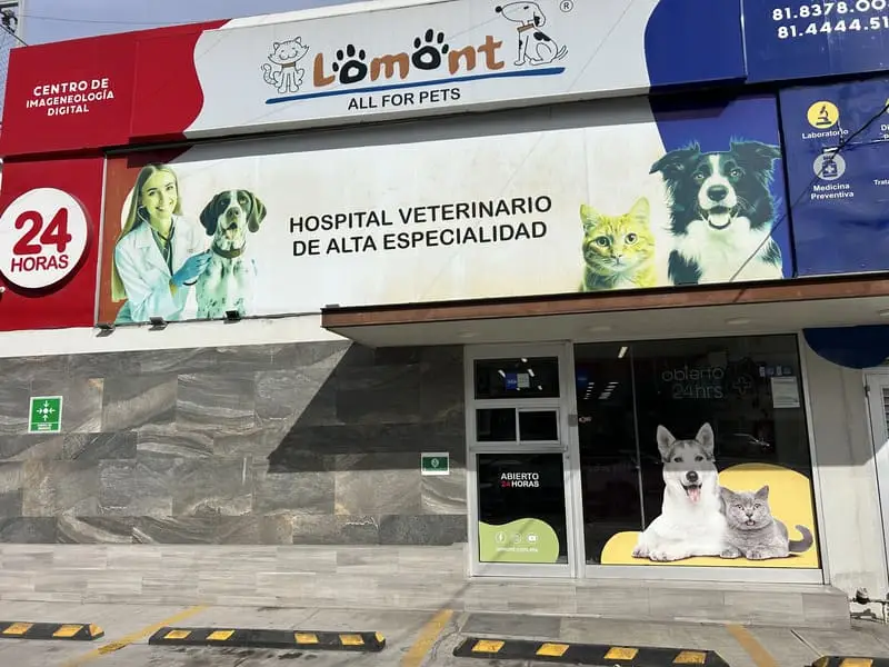 Fachada del Hospital Veterinario Lomont® Vasconcelos sobre Av. José Vasconcelos en San Pedro Garza García, con señalización de atención 24 horas y centro de imagenología digital