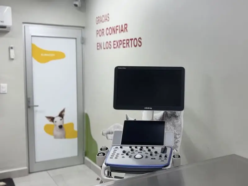 Equipo de ultrasonido en la sala de diagnóstico por imagen del Hospital Veterinario Lomont® Vasconcelos en San Pedro Garza García