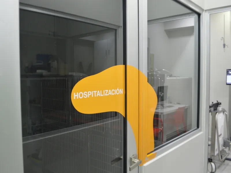 Área de hospitalización del Hospital Veterinario Lomont® La Rioja en Carretera Nacional, Monterrey, con jaulas de internamiento y equipo de monitoreo visibles tras el acceso acristalado