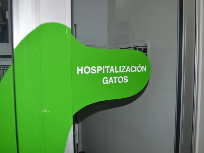 Acceso al área de hospitalización exclusiva para gatos del Hospital Veterinario Lomont® La Rioja, separada de la de perros para reducir el estrés de los pacientes felinos