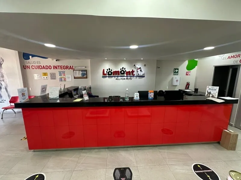Recepción del Hospital Veterinario Lomont® Patria en Zapopan, Guadalajara, con mostrador de atención y sala de espera para clientes