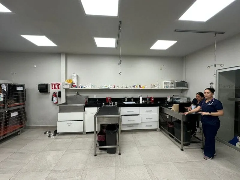 Área de tratamientos del Hospital Veterinario Lomont® Patria en Guadalajara, con personal veterinario, mesas de acero inoxidable, soportes de venoclisis y jaulas de internamiento