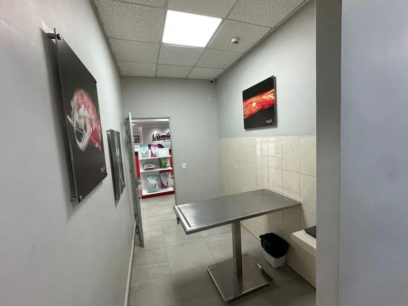 Consultorio del Hospital Veterinario Lomont® Patria en Guadalajara, con mesa de exploración de acero inoxidable y láminas anatómicas para explicar el diagnóstico