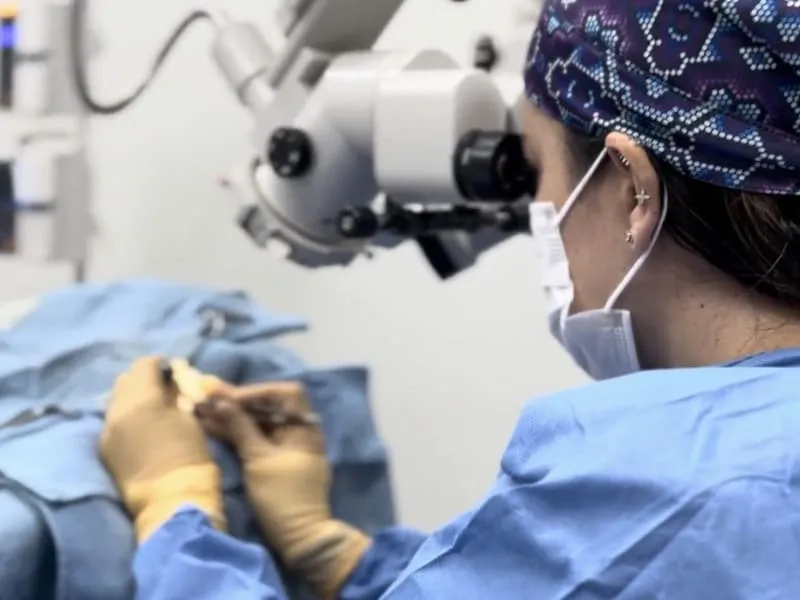 Cirujana veterinaria del Hospital Veterinario Lomont® Patria operando con microscopio quirúrgico durante una cirugía de alta precisión en Guadalajara