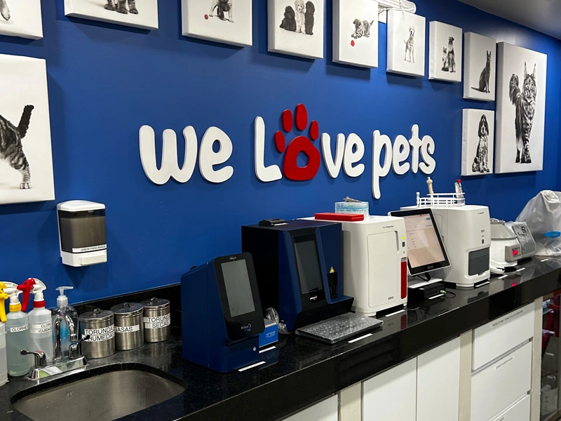 Urgencias Veterinarias 24h en Monterrey