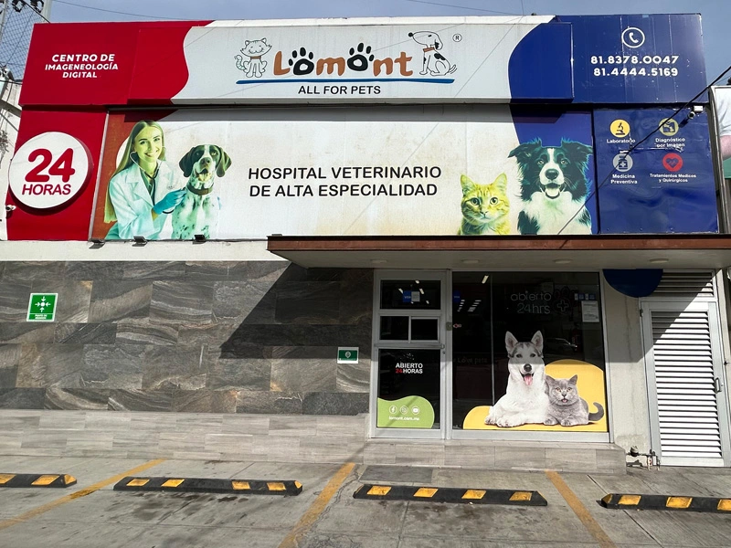 Urgencias Veterinarias 24h en San Pedro Garza García